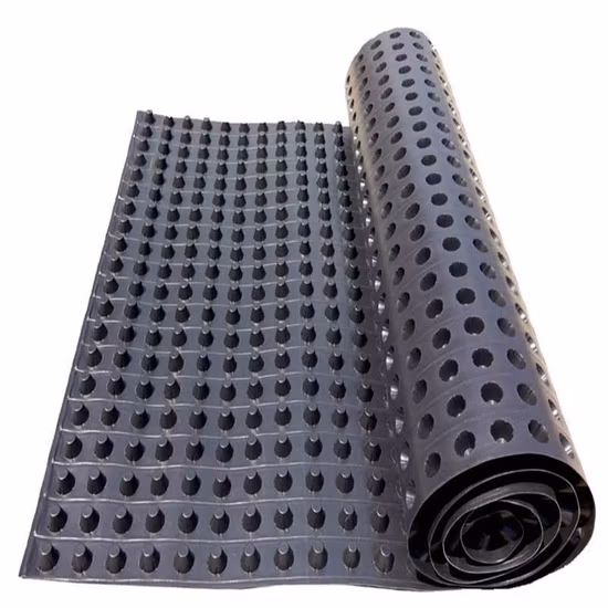 Miglior prezzo Pannello di drenaggio in plastica con fossetta HDPE per materiali da costruzione/edilizia di alta qualità