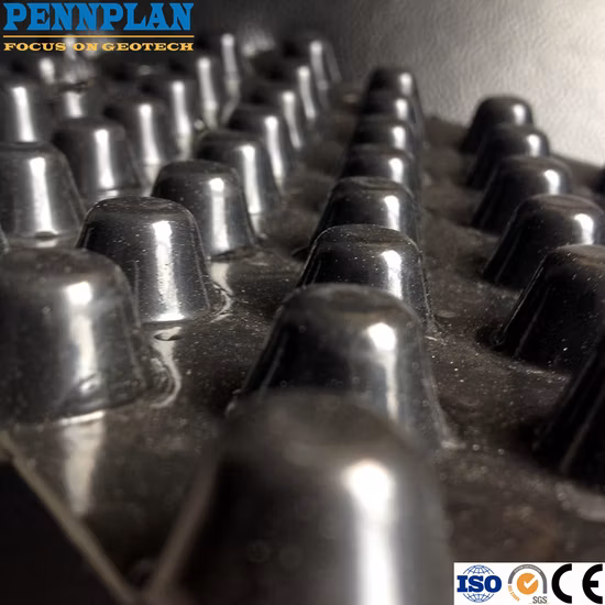 Pannello di drenaggio in plastica di materiali da costruzione di alta qualità utilizzato per l'ingegneria municipale