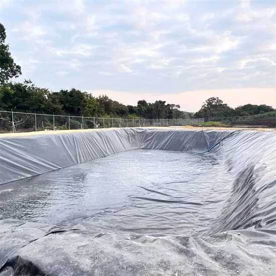 Produttore personalizzato di geomembrane testurizzate/composite in HDPE/LDPE/PE/EV/BCE/PVC per acquacoltura/allevamento ittico/gamberetti/stagno/diga/discarica/estrazione mineraria/sale/rivestimento di coda
